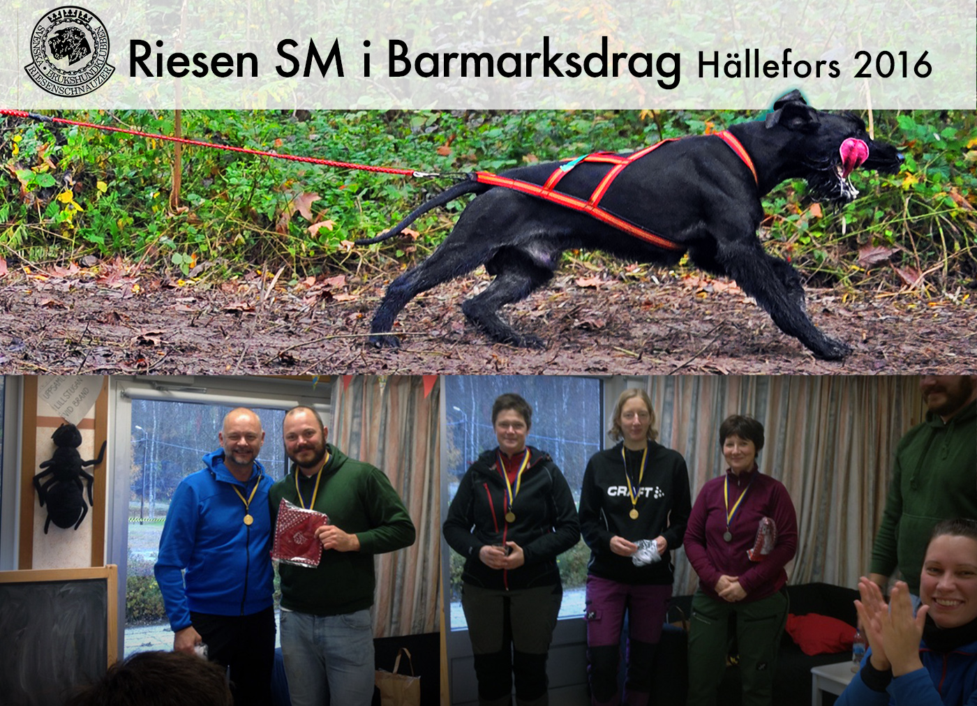 SM barmark 2016