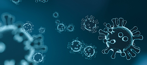 corona virus 476x213 width476
