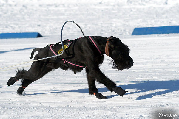 drag snow
