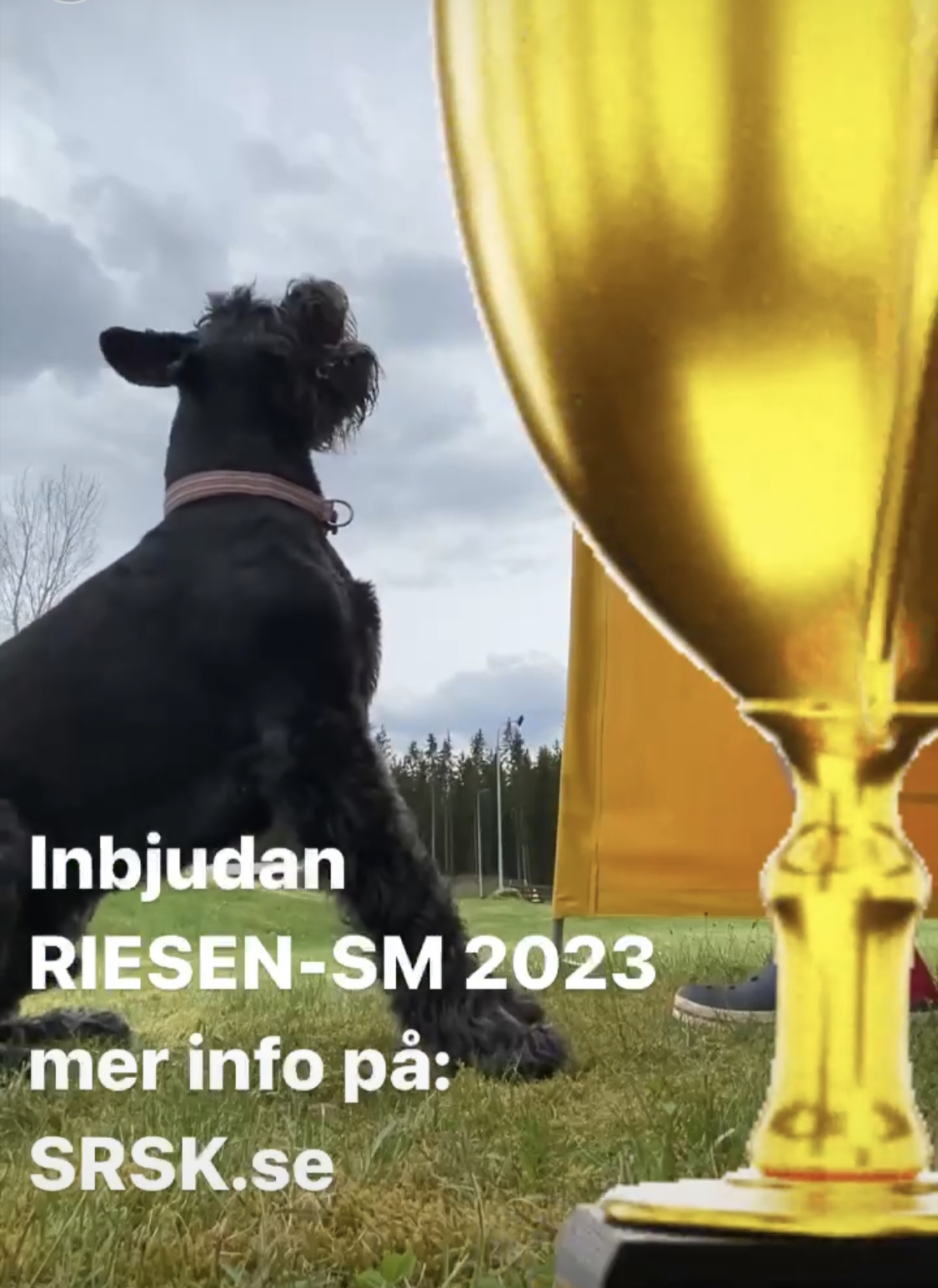 inbjudan luxBevaka