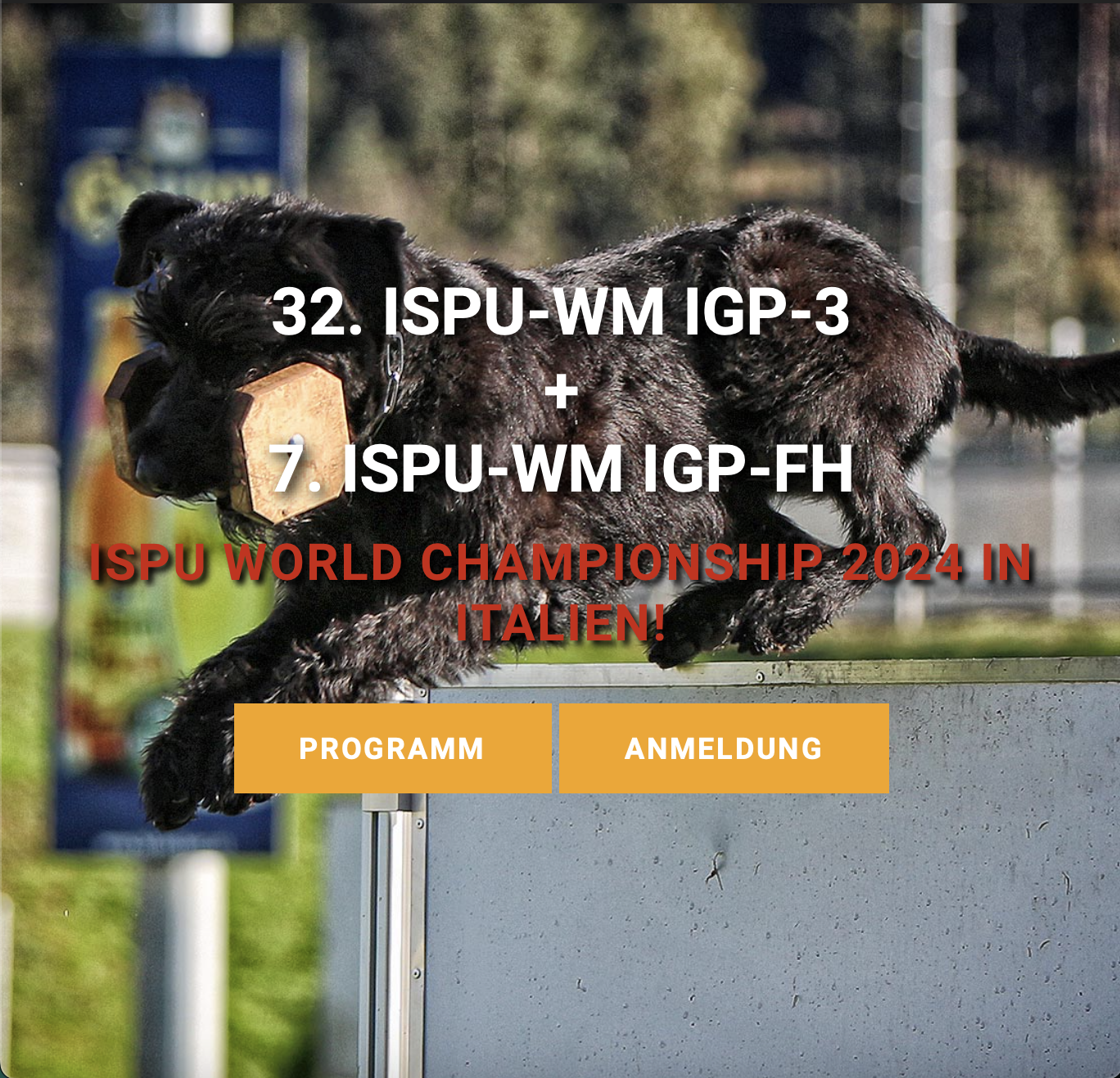 ISPU VM 2024 Ita
