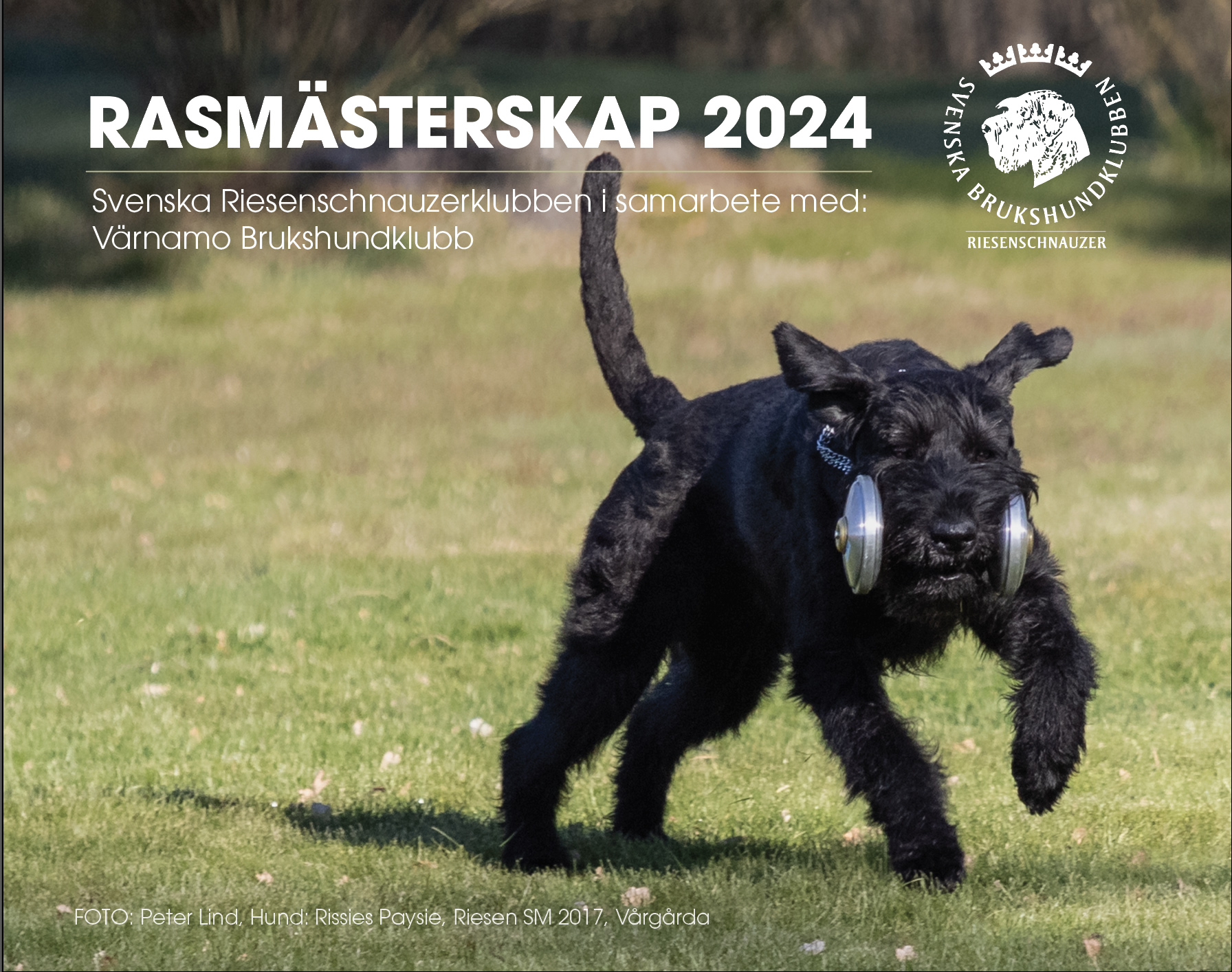 Rasmasterskap 2024