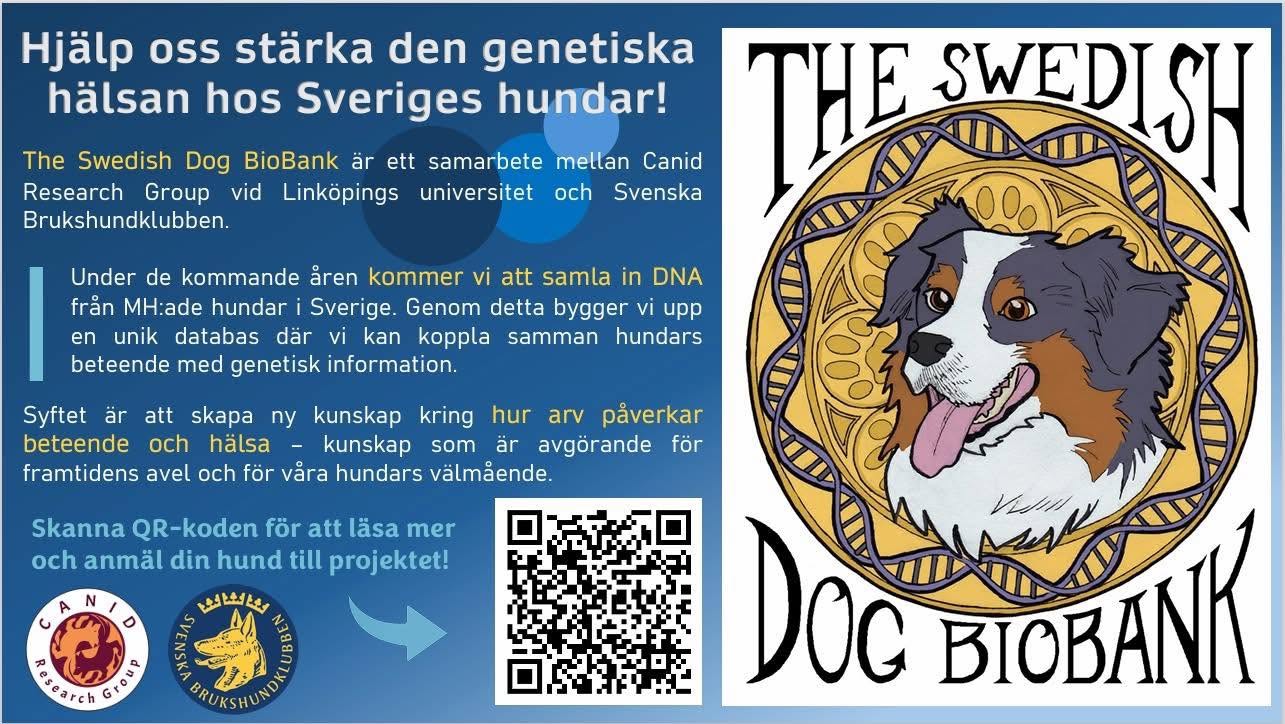 swedishDogBio