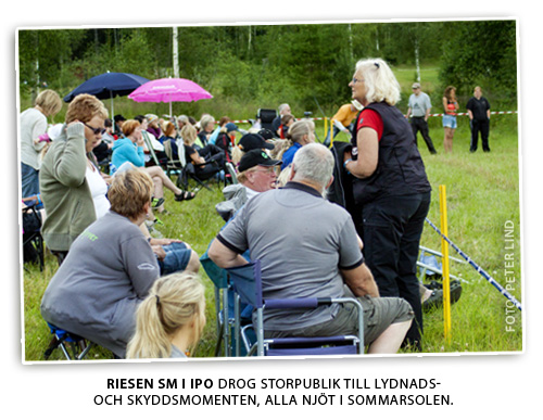 ipoSmPublik1