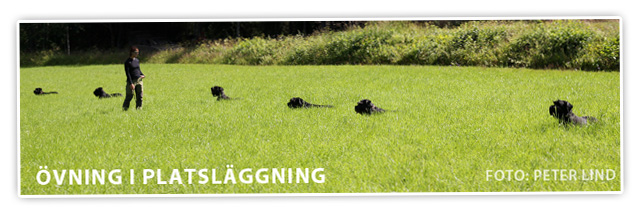 platslaggning