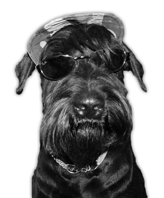 BlackEmacLager