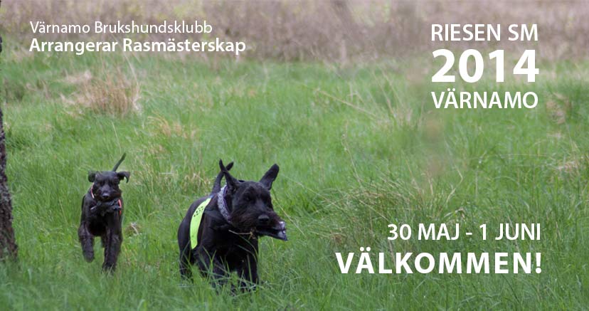 RiesenSM2014