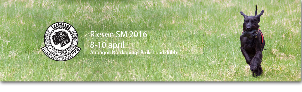 RiesenSM2016Banner