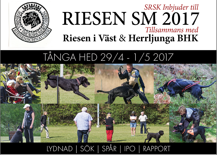 Riesen SM Top