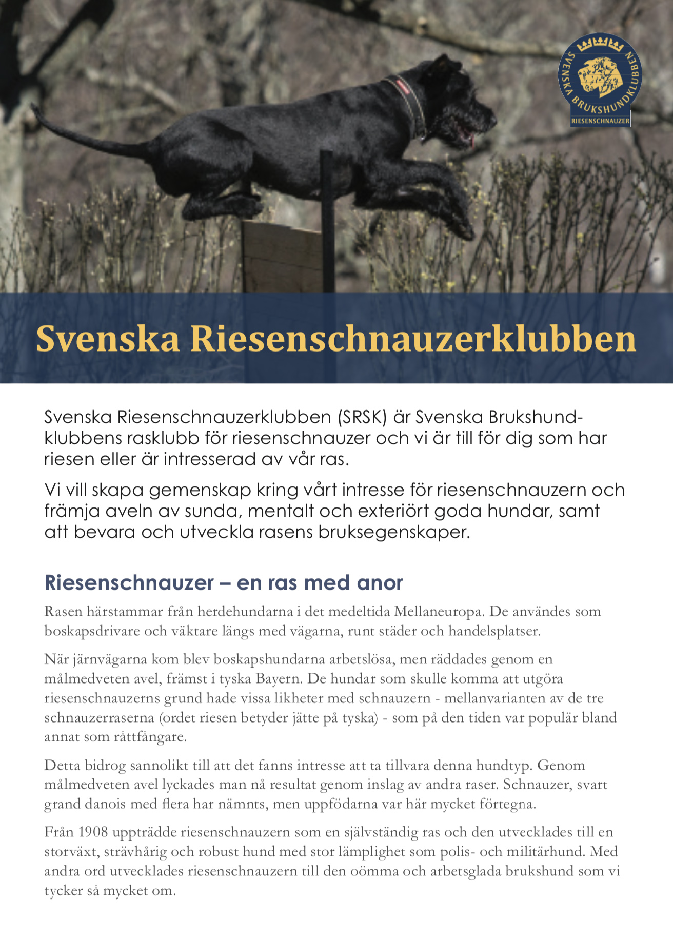 Framsida Info broschyr