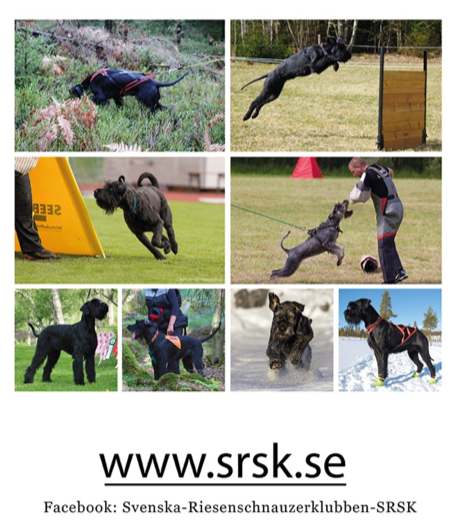 SRSK Bilder webb